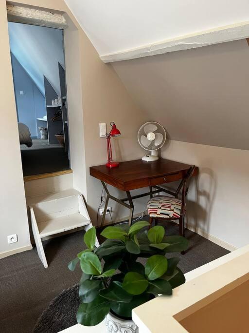 Appartamento #Le Maillard #Grand F2 #Hyper Centre Brive-la-Gaillarde Esterno foto